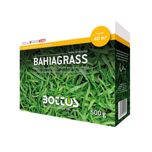 Bahiagrass sementi per prato