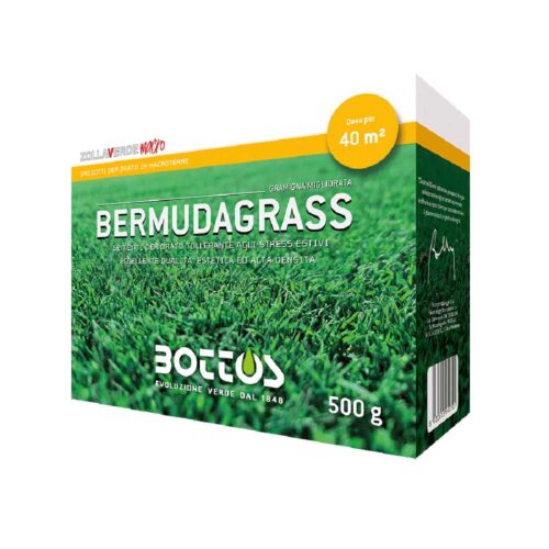 Bermudagrass sementi per prato